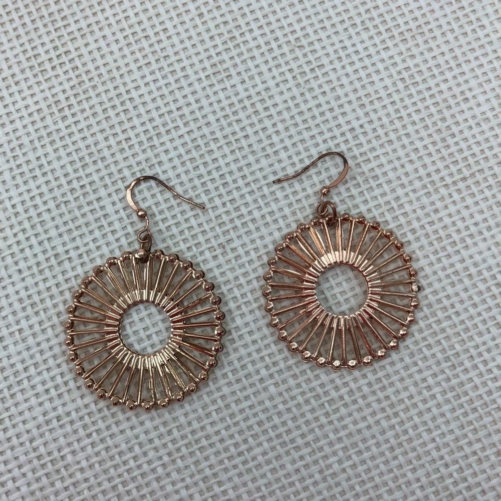 Bronze Earrings